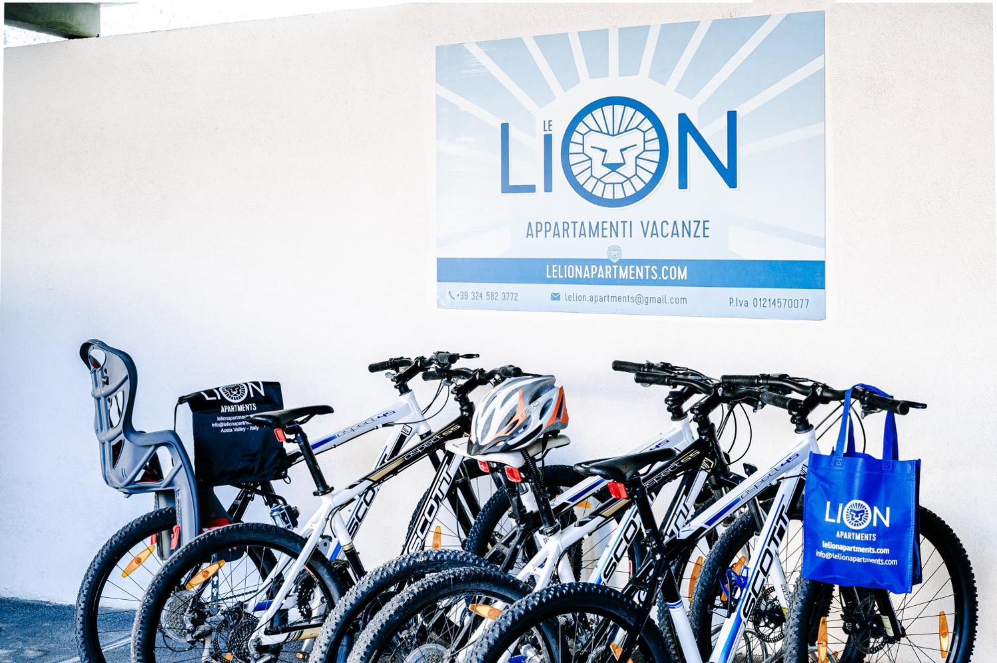 Le Lion Apartments - Lys Family Apartment Аоста Экстерьер фото